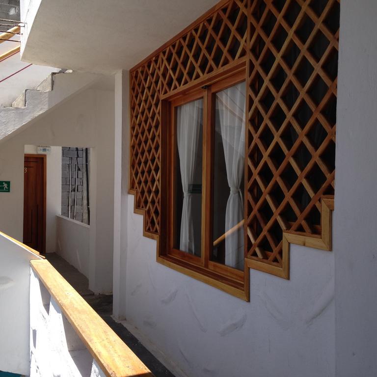 Galapagos Native Hostel Puerto Ayora Szoba fotó